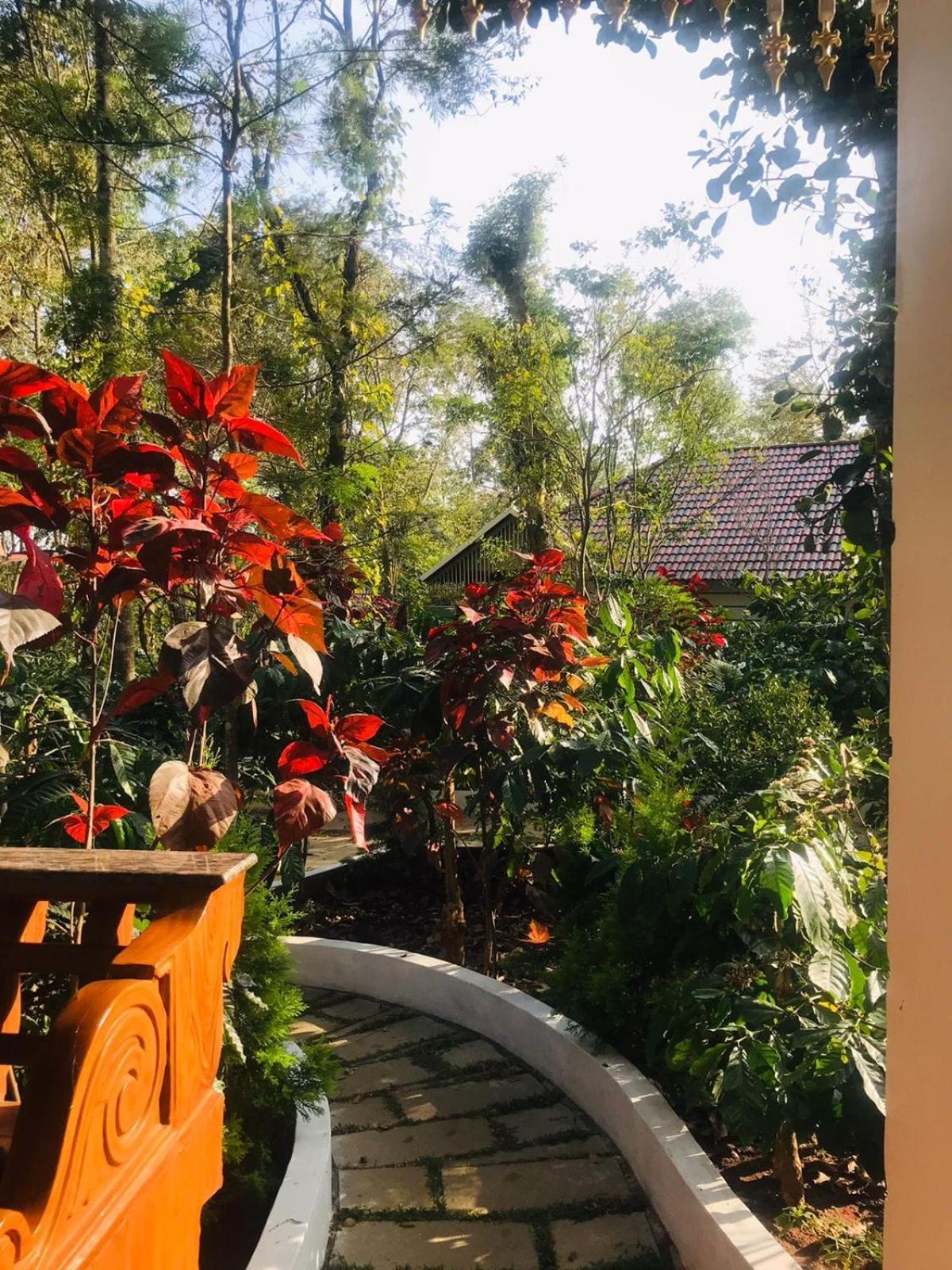 Coorg Orange Blossom Resort And Spa Suntikoppa Extérieur photo
